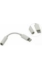 Official Apple iPhone SE 2nd Gen 2020 Lightning to 3.5mm Headphone Jack Adapter