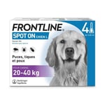 FRONTLINE Spot On Chien L - 20 à 40 kg - 4 pipettes- Puces tiques et poux