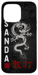 iPhone 14 Pro Max Dragon Sanda Chinese Boxing Case