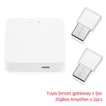 Répéteur de Signal Tuya ZigBee 3.0,amplificateur de Signal USB,pour une vie intelligente,passerelle ZigBee,domotique - Type 2Amplifier 1Gateway