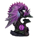 Nemesis Now Figurine Draconic Seer 17 cm, en résine, Rose/Violet, Figurine de Dragon sur Un Arbre, Ornement de Dragon Violet, Article Cadeau Dragon à Collectionner, coulé dans la Meilleure résine,