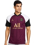 NIKE Men's Paris Saint-germain Brt Stad 3r Men s Trikot, Bordeaux/Truly Gold, L UK