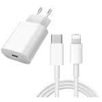 Snabbladdare för iphone11/12/13/14 kabel vägladdare med 2m kabel Vit