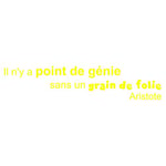 StickHappy TCA0002-jaune-100x22 Stickers citation grain de folie Jaune 100 x 22 x 0,1 cm