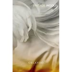 Vintage Woolf: A Room Of One's Own &  Three Guineas - Virginia Woolf