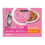 8 Sachets de 85g pour Chaton au Saumon, au Poulet et aux Carottes Purina ONE