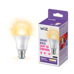 WiZ Smart Bulb, White B22 60W, Dimmable Dynamic Scenes, Smart LED WiFi Works with Alexa,Google Assistant & HomeKit, App Control for Livingroom, Energy Monitoring, Halloween & Christmas Decorations