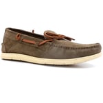 Chaussures Café Noir  CAFENOIR Mocassino Uomo Taupe RT6020