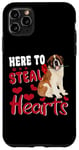 iPhone 11 Pro Max Here To Steal Hearts Funny St Bernard Dog Valentines Day Case