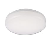 Top Light Leon K - LED-ulkokattovalaisin LED/15W/230V IP44