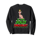 Xmas Lighting Is This Jolly Enough Sphynx Cat Christmas Tree Sweatshirt