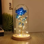 Yzmrbdqc - La Belle et la Bête Rose Fleur Enchantée avec Lumière led dans un Dme en Verre pour Nol Saint Valentin Anniversaire Fête des Mères