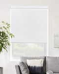 CHICOLOGY Roller Window Shades, Window Blinds, Window Shades for Home, Roller Shades, Window Treatments, Window Blinds Cordless, Door Blinds, Byssus White (Blackout), 55"W X 72"H