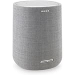 Harman Kardon Citation ONE MKIII -kaiutin, harmaa