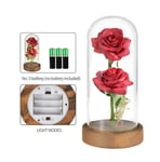 Elegant Rose Dome Lights Beauty and The Beast Rose in a Glass Bell Jar With LED