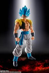 Bandai S.H.Figuarts Dragon Ball Super Broly Gogeta Super Saiyan God Super Saiya