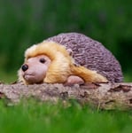 Animigos Plush Toy Hedgehog, 25Cm, 37257