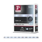 Paulmann 79874 LED MaxLED 250 1 m Lumière du Jour IP44 Protect Cover INCL 1x4 Watts Strip Bande Lumineuse 6500 K, Matière Plastique, 4 W, Argent