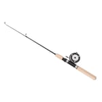 Ice Fishing Rod Reel Combo 75cm Winter Fishing Pole For Fathers Sons Husbands