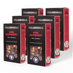 Rollagranola - Cool Raspberry - Fruit Granola, 6 x 300g Pack - Fresh Raspberries & Macadamia Nuts. Crunchy Clusters, Vegan, Gluten & Cereal Free With No Added Sugar. Handcrafted In The UK (6 x 300g)