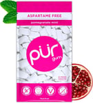 100% Xylitol Chewing Gum, Sugarless Pomegranate Mint, Sugar Free + Aspartame Fre