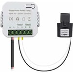 Tuya Smart Meter Energy Monitor Statistiques actuelles Compteur d'énergie 80A avec pince ct App kWh App contrôle