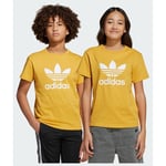 adidas Original Adicolor Trefoil T-shirt Barn, storlek 146