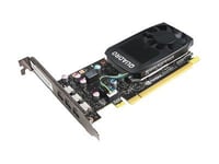 NVIDIA Quadro P400 - Carte graphique - Quadro P400 - 2 Go GDDR5 - 3 x Mini DisplayPort - pour ThinkCentre M75t Gen 2; ThinkStation P320; P330; P330 Gen 2; P340; P358; P520; P720; P920