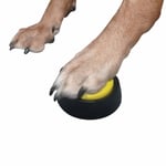 Dog Training Buttons - Pet Accessories