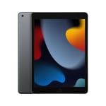 iPad 10.2-tommer