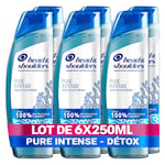 Head & Shoulders Pure Intense Détox Du Cuir Chevelu Shampooing Antipelliculaire 6x250 ml, Aux Minéraux Marins, Pour Cuir Chevelu Gras, Jusqu’à 100 % des pellicules éliminées