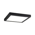 Paulmann LED-paneeli Abia square 300x300mm 2700K Mattamusta