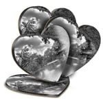 4x Heart MDF Coasters - BW - Hamilton Pool Sinkhole Texas USA  #37083