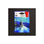 Unitec Halogen lampe Standard H1 55 W