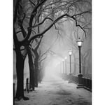 Snow Covered Street in the Misty Glow of Light Posts Atmospheric Black and White Photograph Winter Scene Unframed Wall Art Print Poster Home Decor Pre