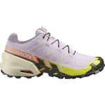 Salomon Speedcross 6 Gore-Tex Grisaille/Carbon/Tea