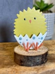 Shoeless Joe sweet little Easter Chick in egg shell spotty pants! Novelty Gift