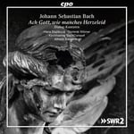 Bach.j.s., Worner /giebelhausen, Bernardini  Ach Gott Wie Manches Herzeleid  CD