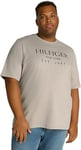 Tommy Hilfiger Men's Bt-Big Hilfiger Tee-t Mw0mw37920 S/S T-Shirt, Brown (Heathered Pebble), XXL