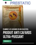 Produit anti cafards - Éradiquez les blattes sans pitié ! - 6 sachets