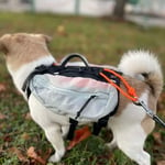 Trail Light Dog Backpack Unisex Glacier Gray Xl