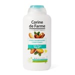 Après Shampooing Soin à l'Huile d'Argan