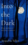 Into the Dark  What darkness is and why it matters