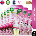 Air wick Plug In Refills Scented Oil Air Freshener Pink Sweet Pea 19ml x6