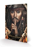 Pyramid International Pirates of The Caribbean (Can You Keep A Secret) -Wood Print, Multi-Colour, 40 x 59 x 1.3 cm