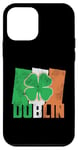 iPhone 12 mini Shamrock Clover On Vintage Irish Flag Dublin Ireland Pride Case