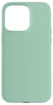 Coque pour iPhone 15 Pro Max Couleur vert menthe simple