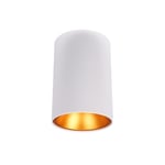 Taklampa AGGE Goldie, GU10, Vit