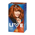 Schwarzkopf Live Intense Colour Permanent Hair Dye 030 Mango Twist - New x2