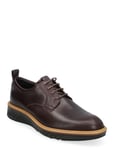 St.1 Hybrid Brown ECCO